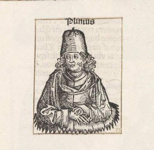 Pliny the Elder