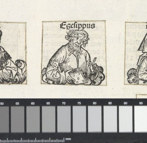 Hegesippus