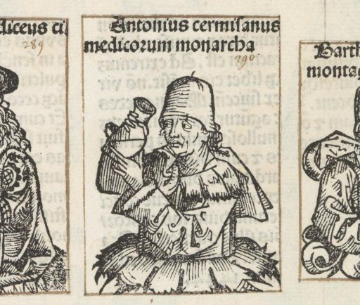 Antonius Cermisonus