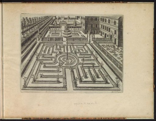 Garden with a parterre and a house on the left