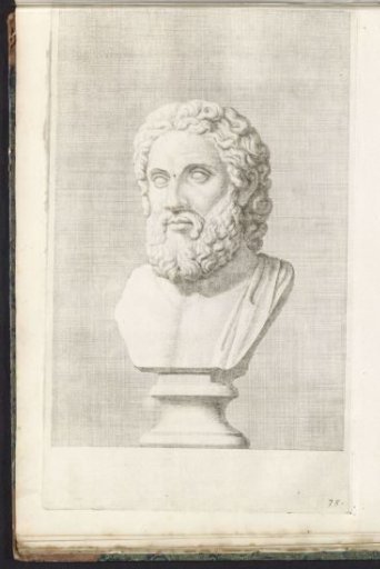 Bust of a bearded man, facing left