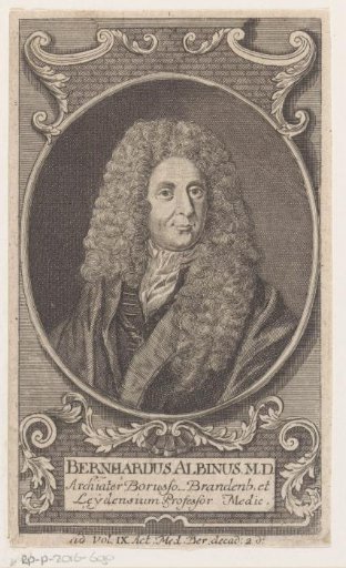 Portrait of Bernhard Albinus-Weiss