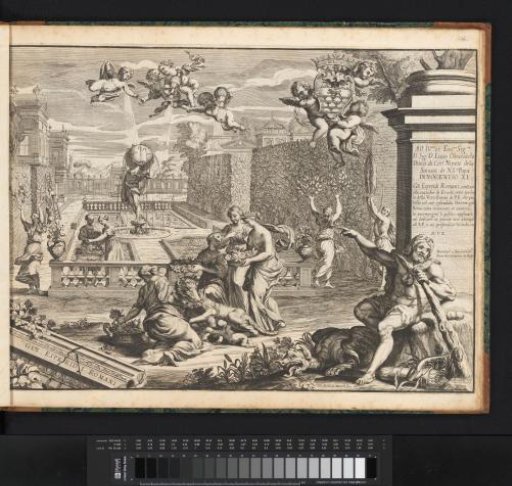 Garden of the Hesperides