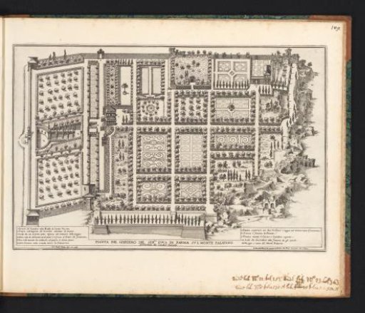 Plan of the Garden at the Palace of the Duke of Parma on the Palatine in Rome