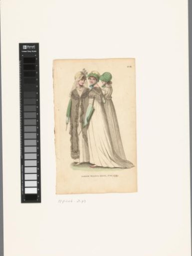 Magazine of Female Fashions of London and Paris. No. 16: London walking dress, June, 1799