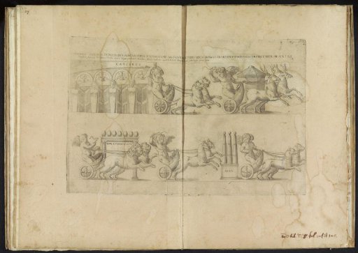 Putti as Charioteers