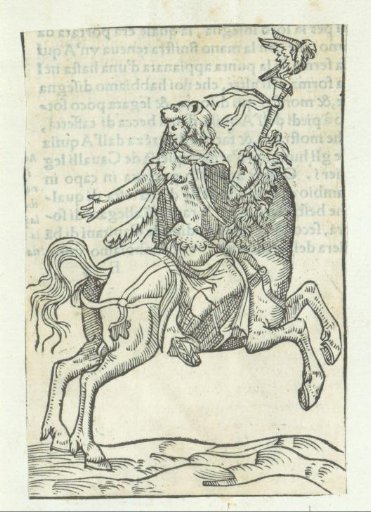 Rider with a lion's skin