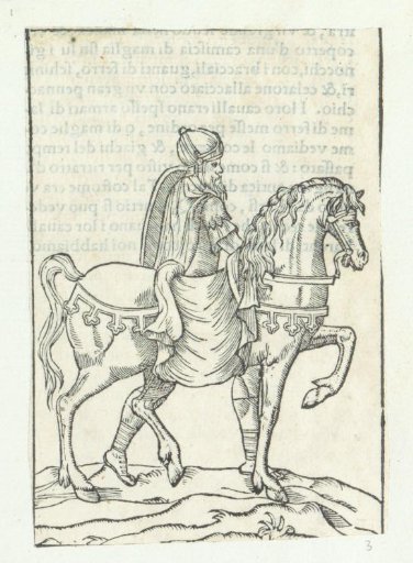 Rider with a helmet