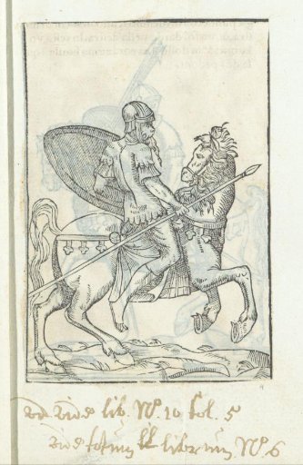 Rider with a shield