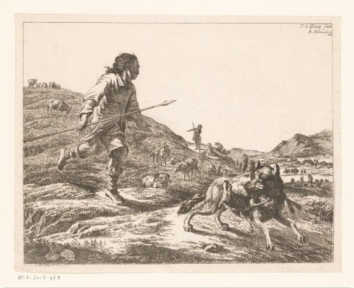 Shepherd chasing a wolf