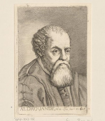 Portrait of Ulisse Aldrovandi