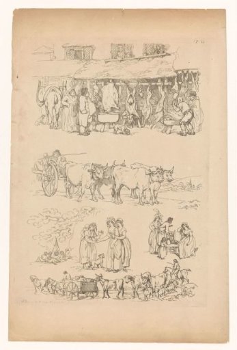Scenes from country life