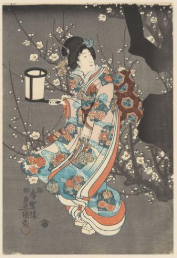 Admiring the plum blossoms