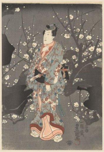 Admiring the plum blossoms