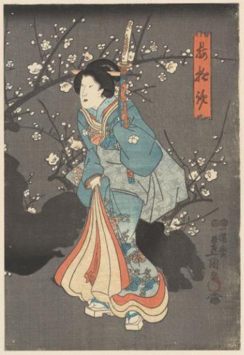 Admiring the plum blossoms
