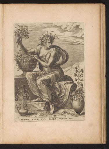 Flora