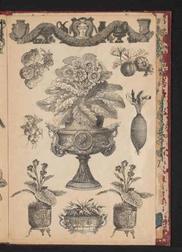 Collage of cut-out prints
