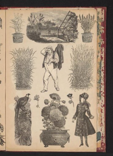 Collage of cut-out prints