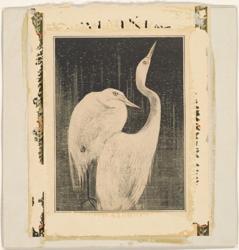 Two silver herons