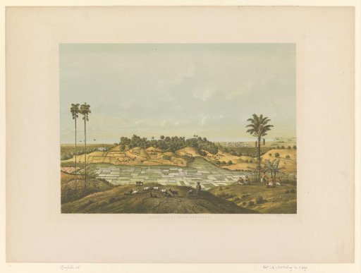 View of a landscape at Samarang