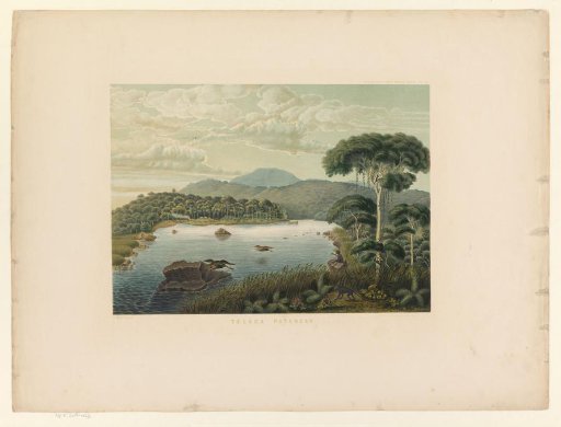 View of Lake Patenggang