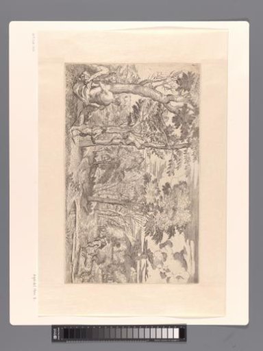 Landscape with Satyrs and Nymphs