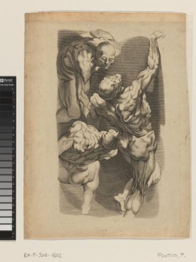 Anatomical study of three men