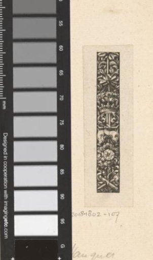 Band with crown, fish and flower