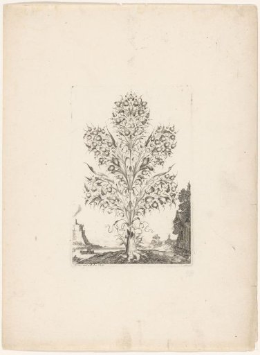 Goldsmith's bouquet with five branches
