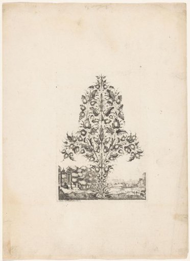 Goldsmith's bouquet with five branches