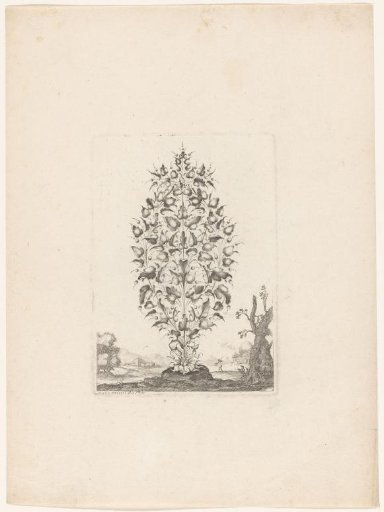 Goldsmith's bouquet in the shape of an oval