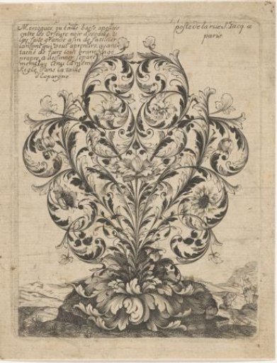 Goldsmith's bouquet with leafy vines