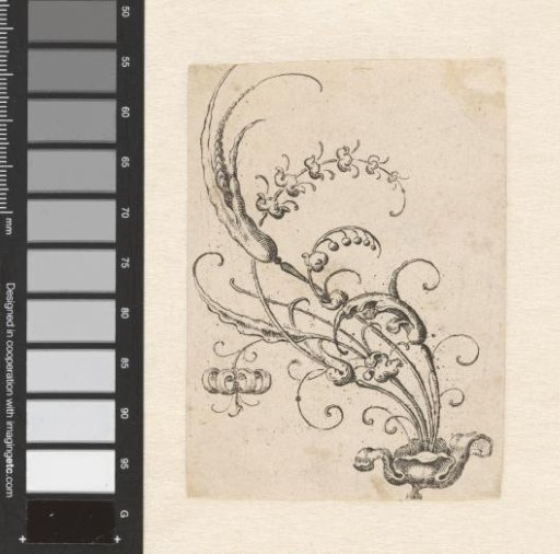 Goldsmith's bouquet