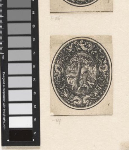 Oval medallion with Adonis hunting