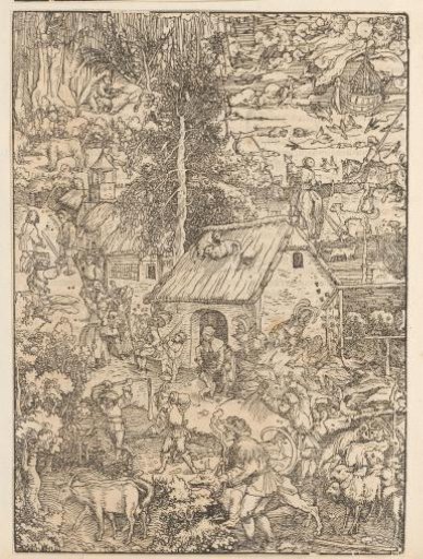 Humans and Animal Kingdom Around a House