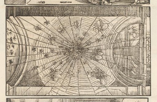 Vault with a spider's web