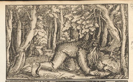 Hairy man crawling through a forest