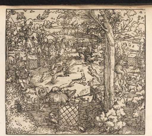 Hunt for Pigs and Rabbits in the Hedges