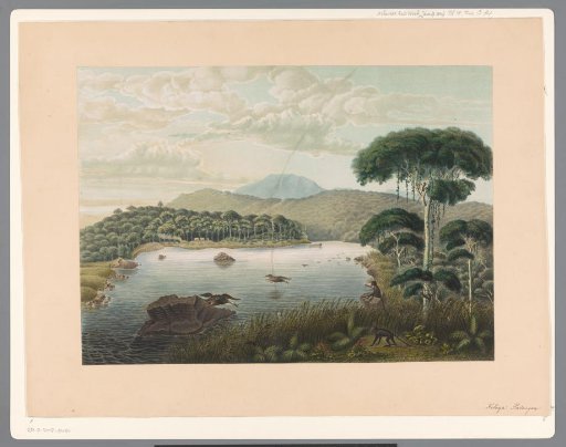 View of Lake Patenggang in Java