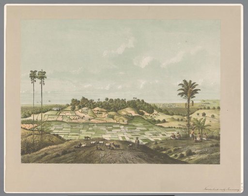 North Coast near Semarang