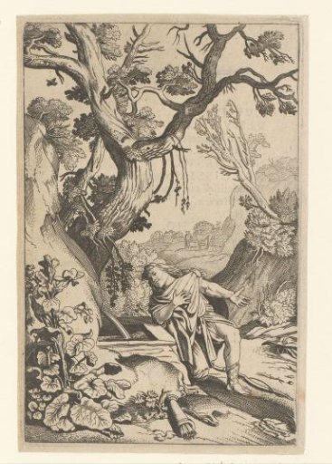 Narcissus
