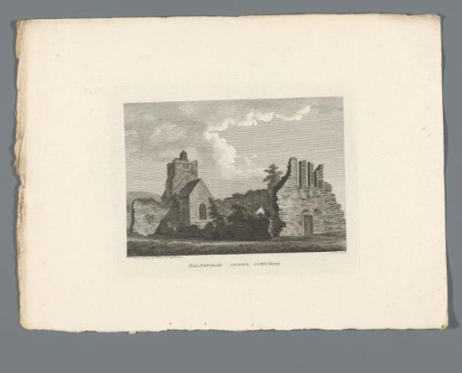 View of the Ruins of the Abbey at Baltinglass