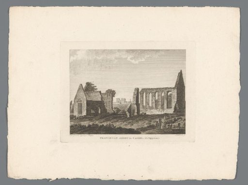 View of the Ruins of the Franciscan Abbey in Cashel