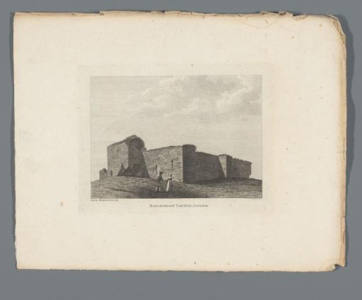 View of the Ruins of Ballymoon Castle