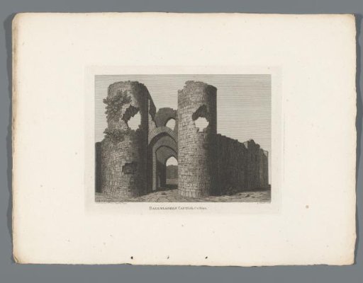 View of the Ruins of Ballylaghan Castle