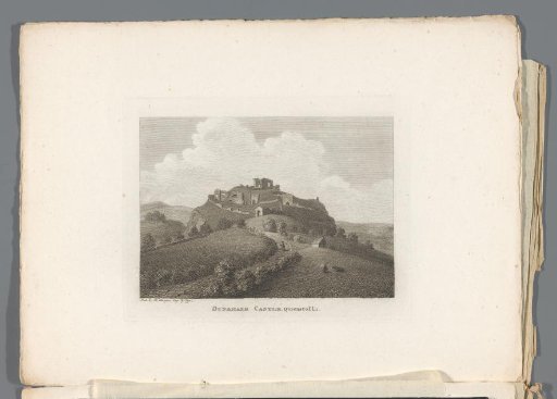 View of the ruins of Dunamase Castle