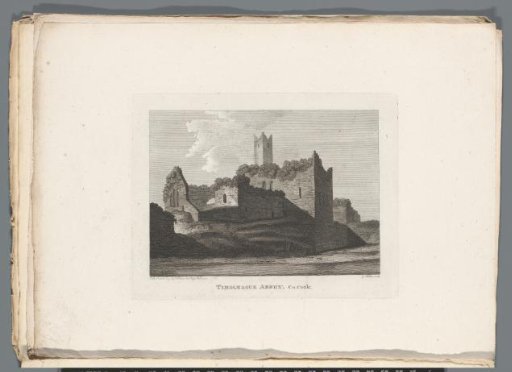 View of the Ruins of the Abbey of Timoleague