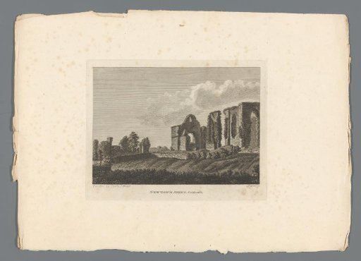 View of the ruins of Newtown Abbey