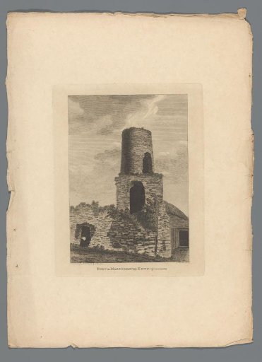 View of the ruins of the fort in Maryborough town