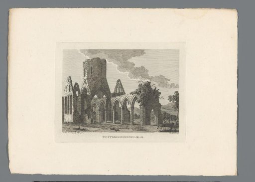 View of the ruins of the abbey of Tristernagh